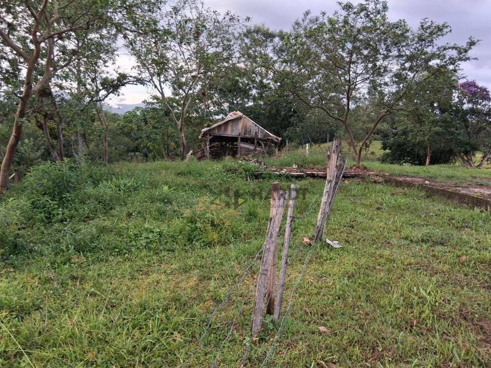 Terreno, 6 hectares - Foto 8