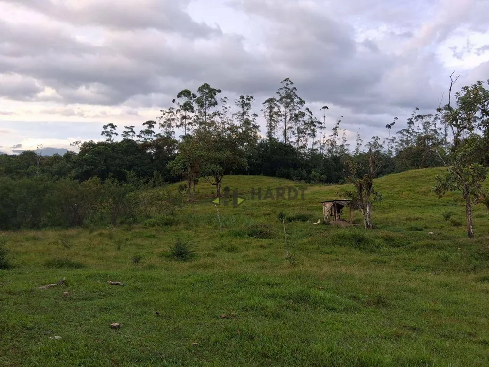 Terreno, 6 hectares - Foto 7