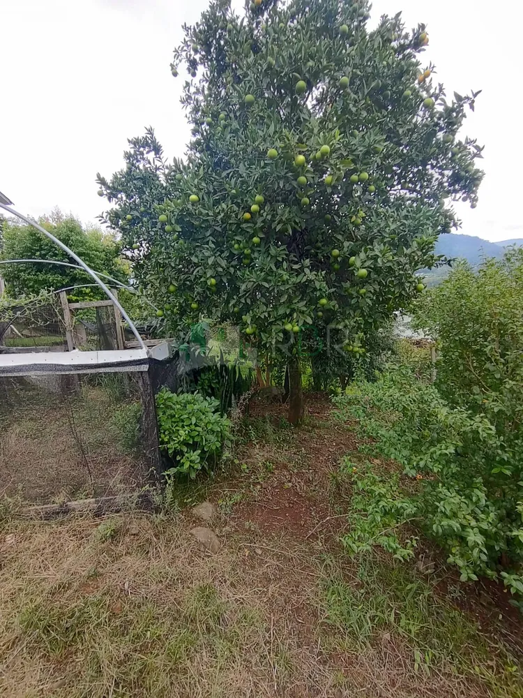 Terreno, 408 m² - Foto 1