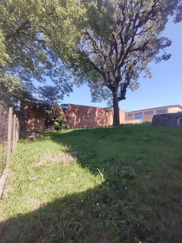 Terreno, 728 m² - Foto 5