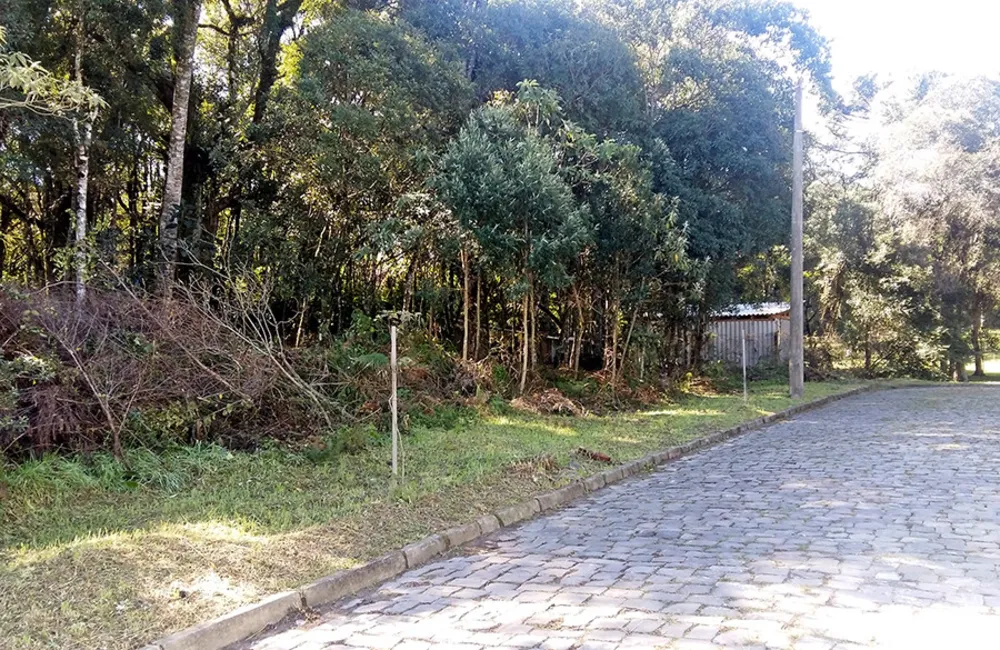 Terreno, 4049 m² - Foto 1