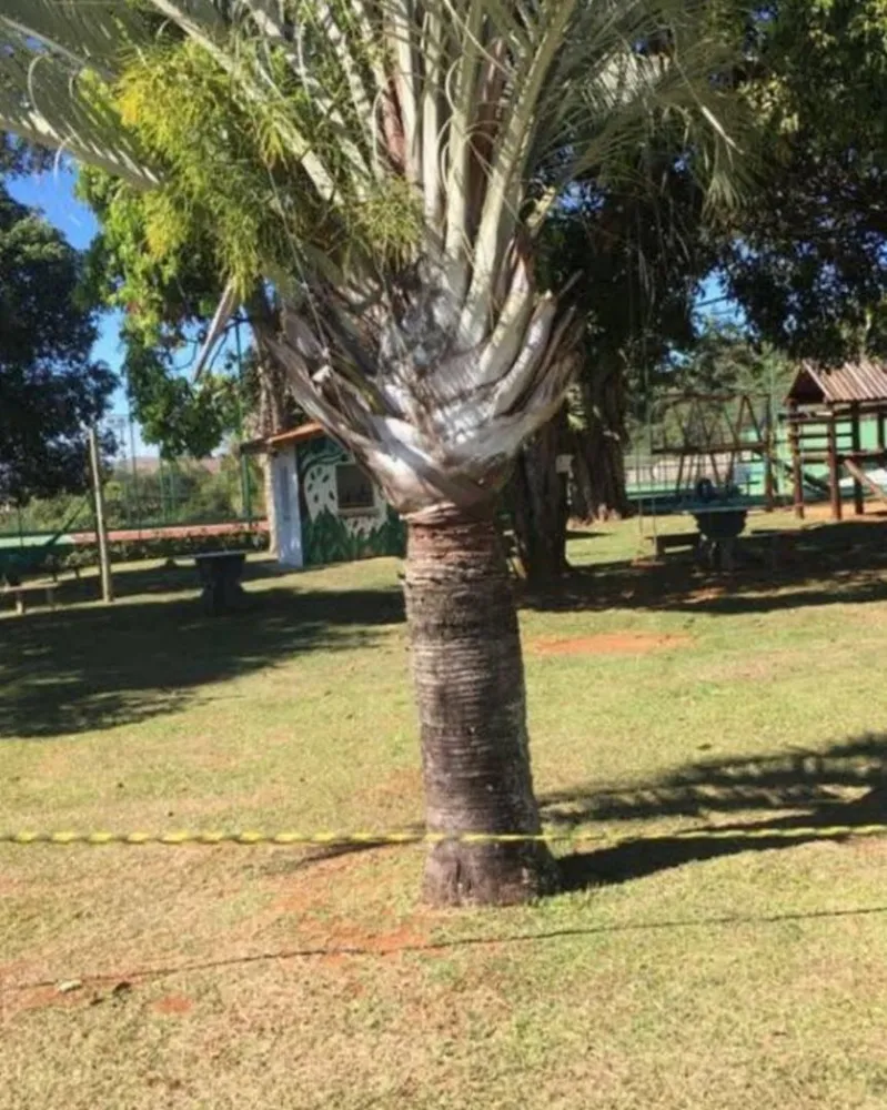 Loteamento e Condomínio, 600 m² - Foto 4