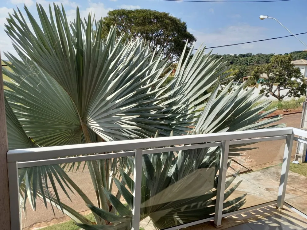 Casa, 3 quartos, 356 m² - Foto 2