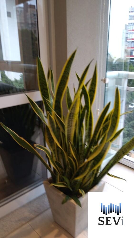 Apartamento, 1 quarto, 40 m² - Foto 12