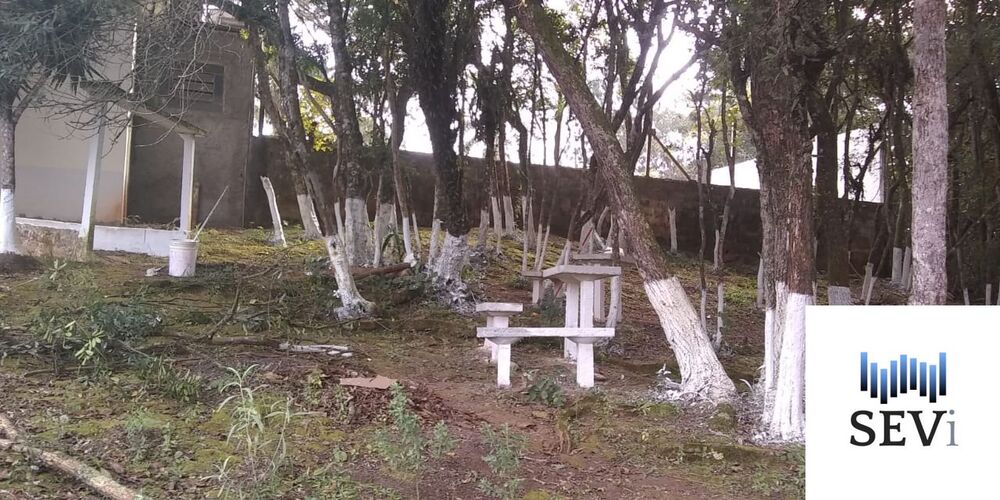 Sítio, 2 quartos, 6570 m² - Foto 2