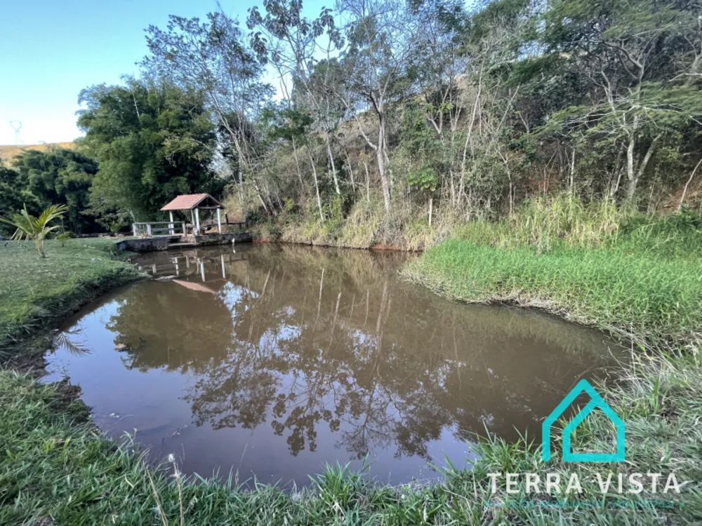 Terreno, 4 hectares - Foto 3