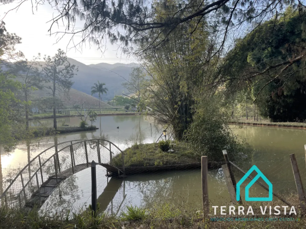 Terreno, 4 hectares - Foto 1