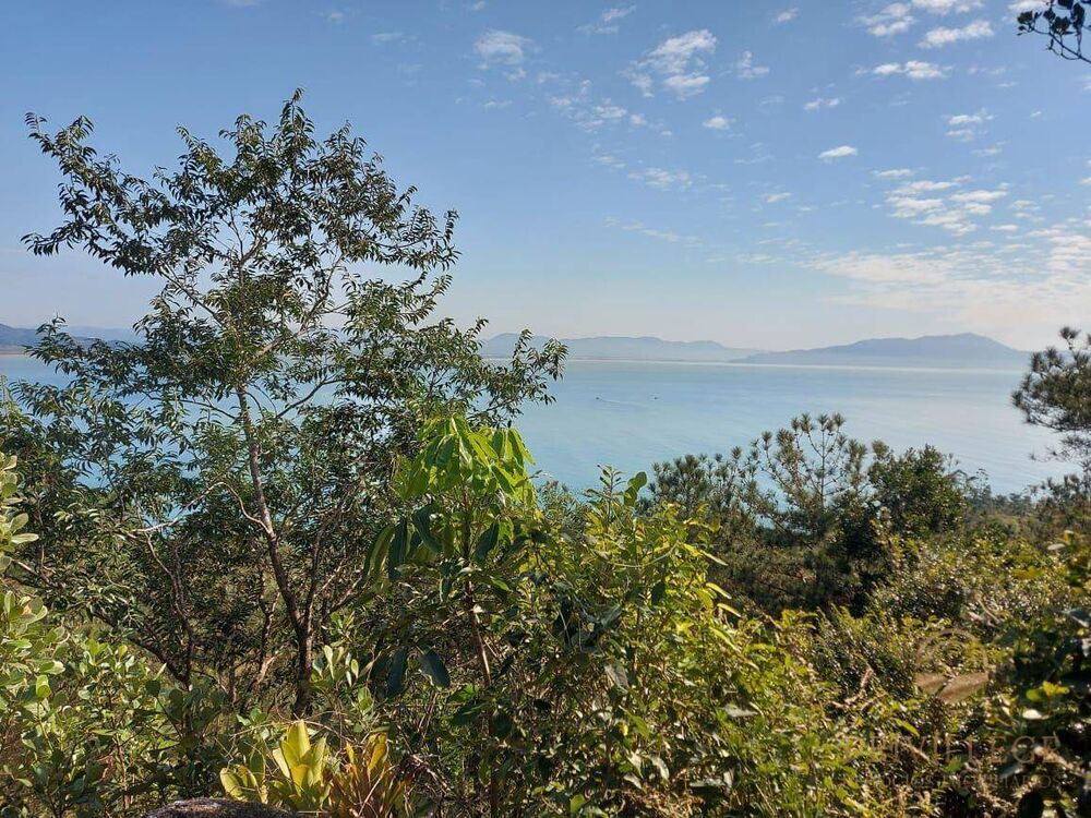 Terreno, 2000 m² - Foto 5