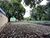 Terreno, 300 m² - Foto 2