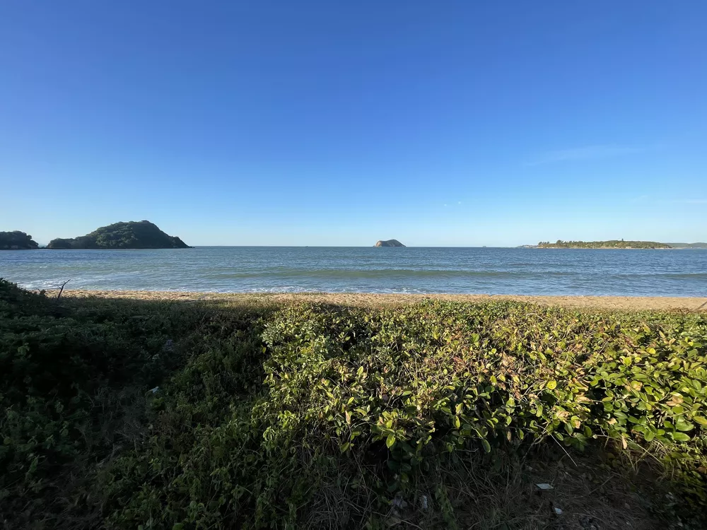 Terreno, 1114 m² - Foto 14