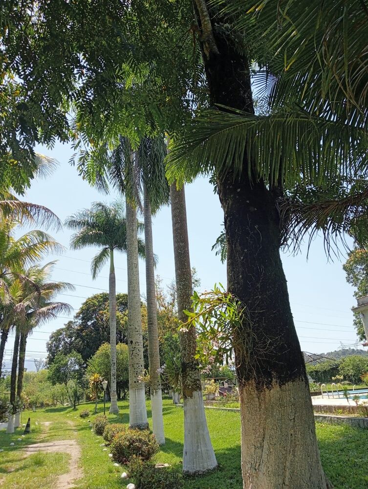 Sítio para alugar com 8 quartos, 500m² - Foto 13