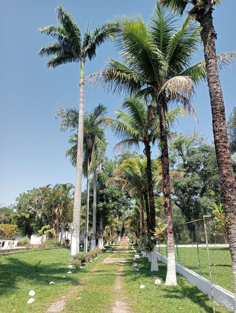 Sítio para alugar com 8 quartos, 500m² - Foto 16