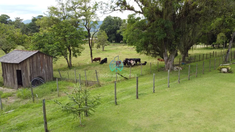 Sítio, 2 quartos, 7 hectares - Foto 17