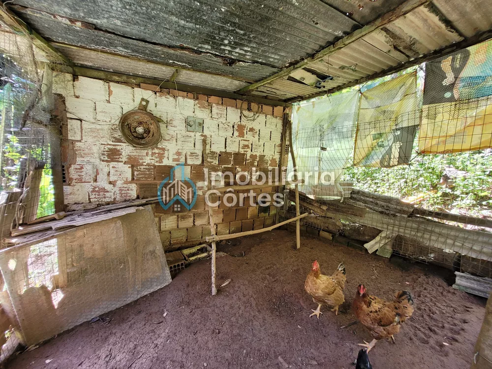 Sítio à venda com 3 quartos, 200m² - Foto 3