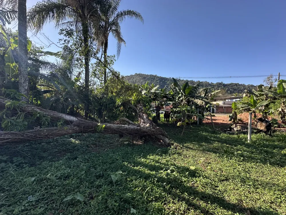 Terreno, 360 m² - Foto 14