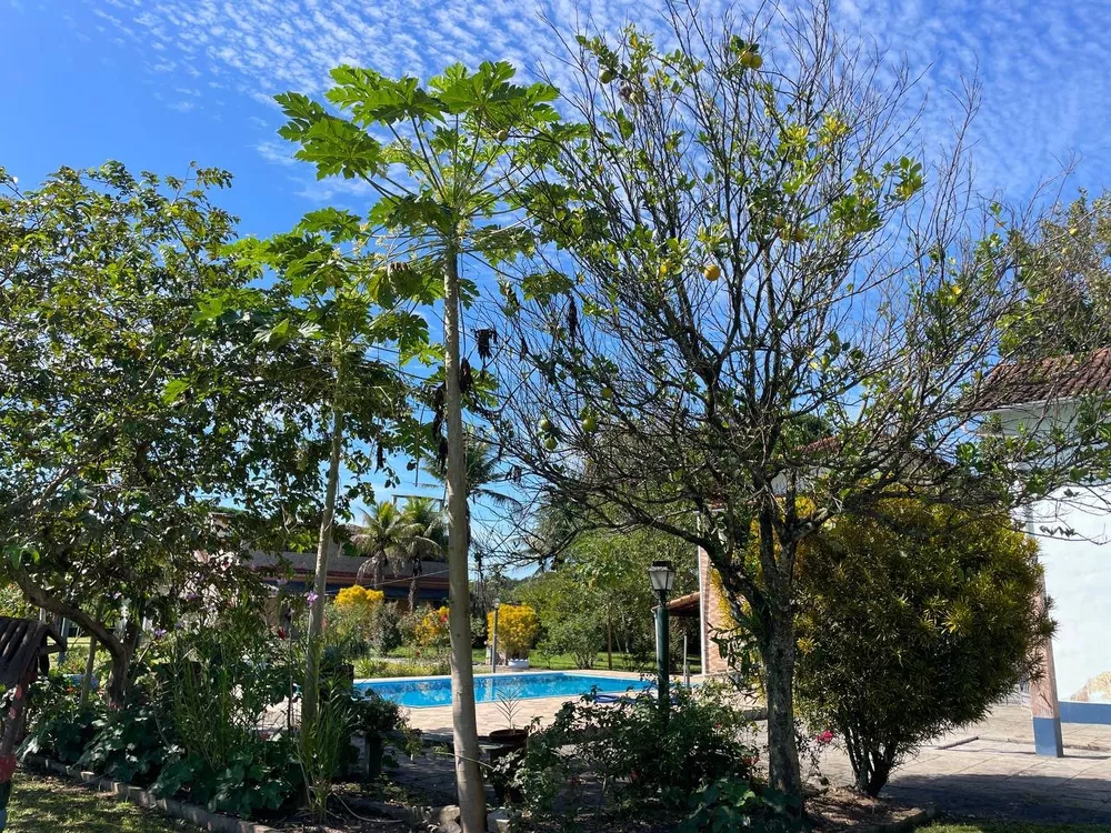 Chácara, 8 quartos, 3 hectares - Foto 17