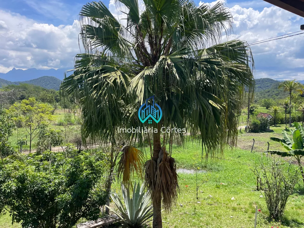 Sítio, 3 quartos, 4607 m² - Foto 5