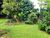 Terreno, 500 m² - Foto 3