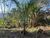 Terreno, 1170 m² - Foto 4