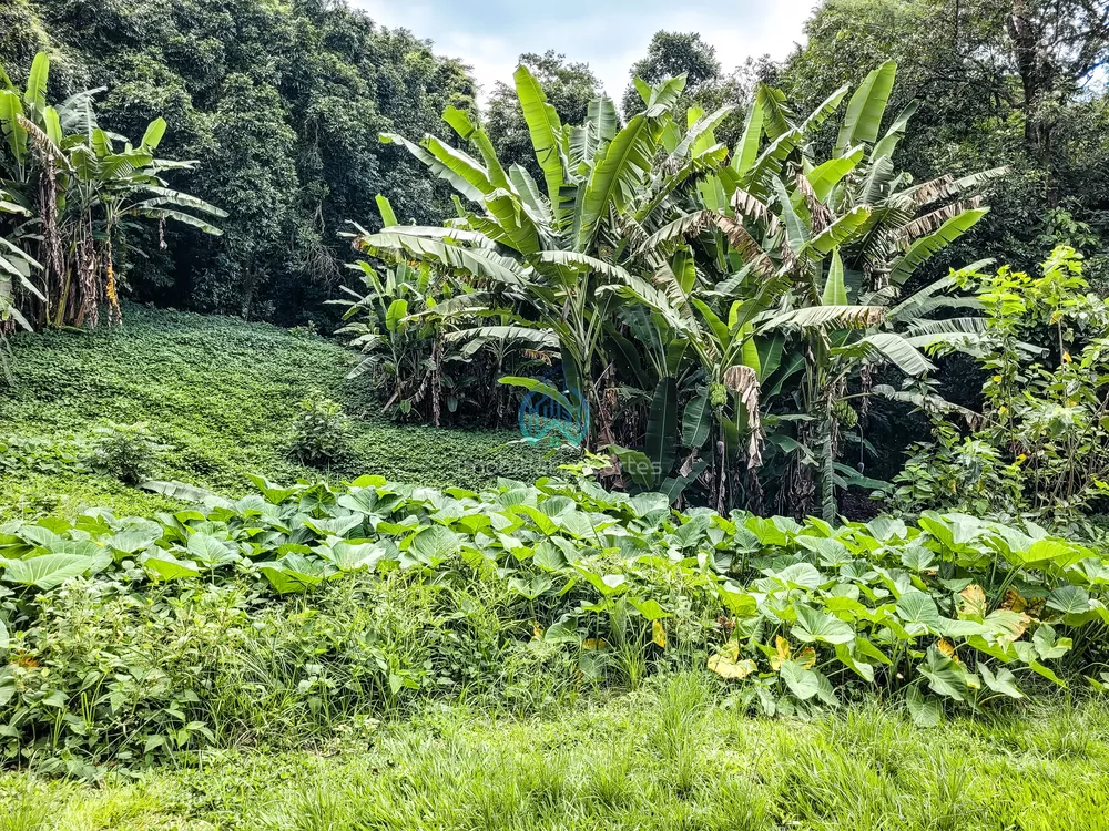 Terreno à venda, 390m² - Foto 3