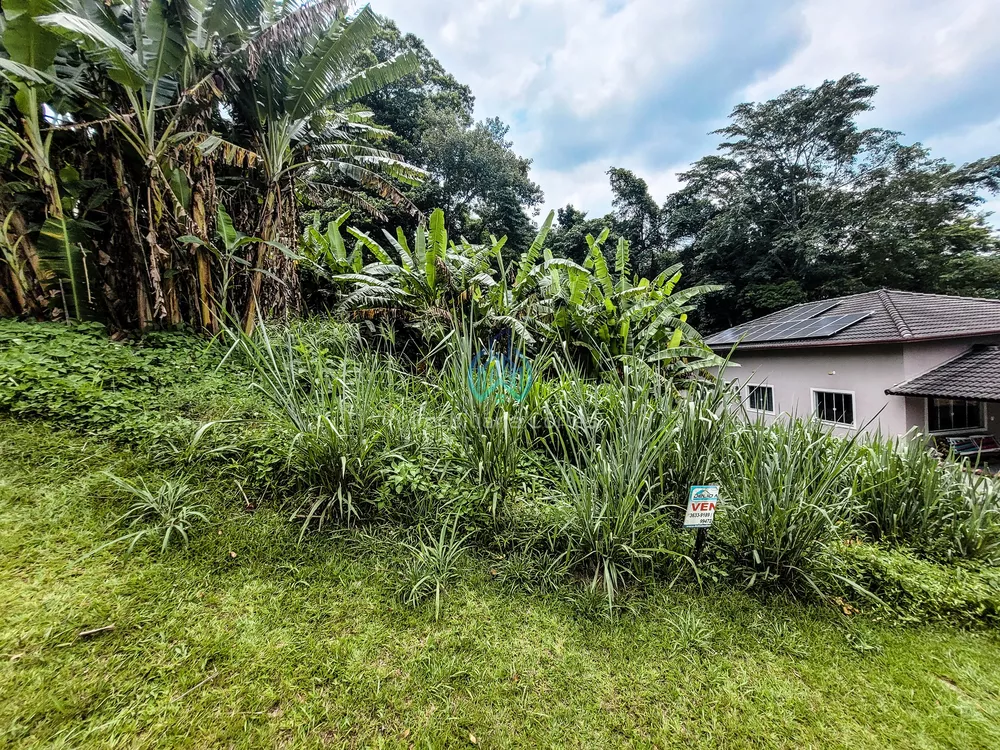 Terreno, 455 m² - Foto 1