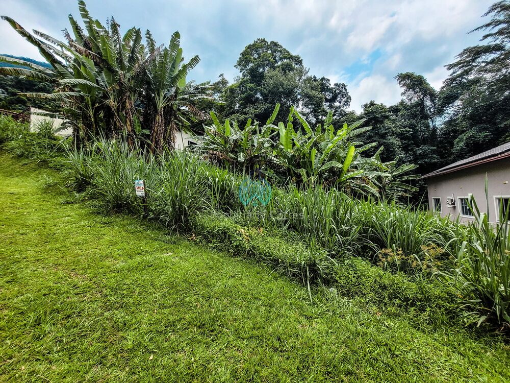 Terreno, 455 m² - Foto 4