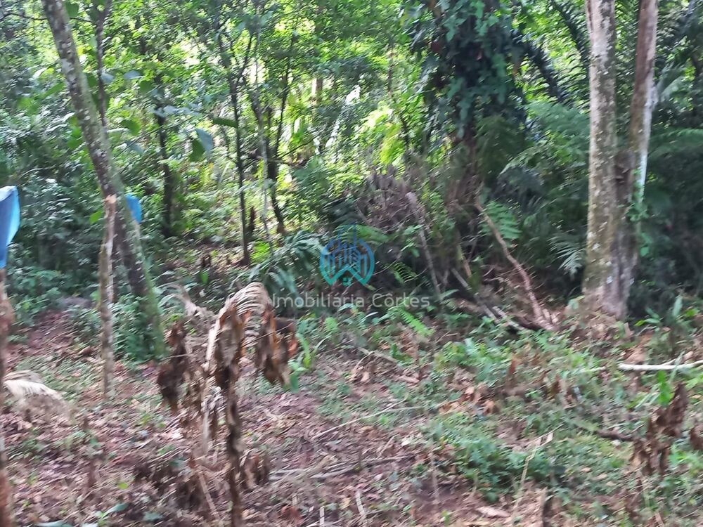 Terreno à venda com 1 quarto, 390m² - Foto 1