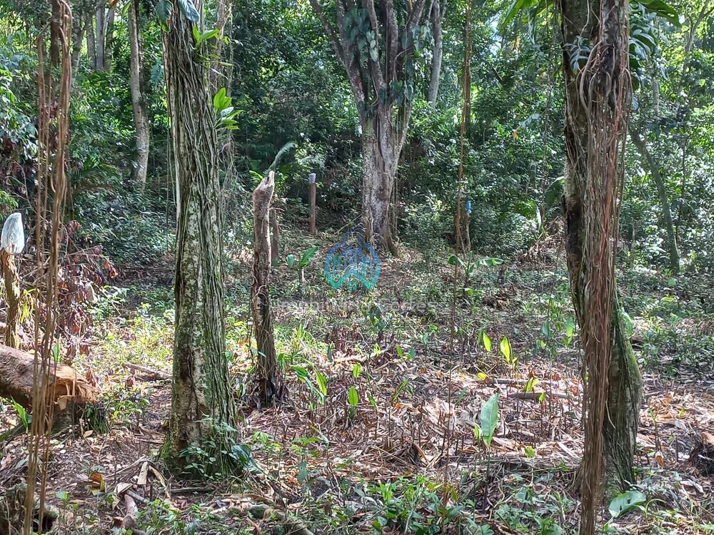 Terreno à venda com 1 quarto, 390m² - Foto 5