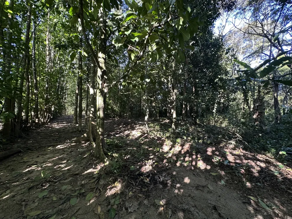 Sítio, 3 quartos, 2 hectares - Foto 6