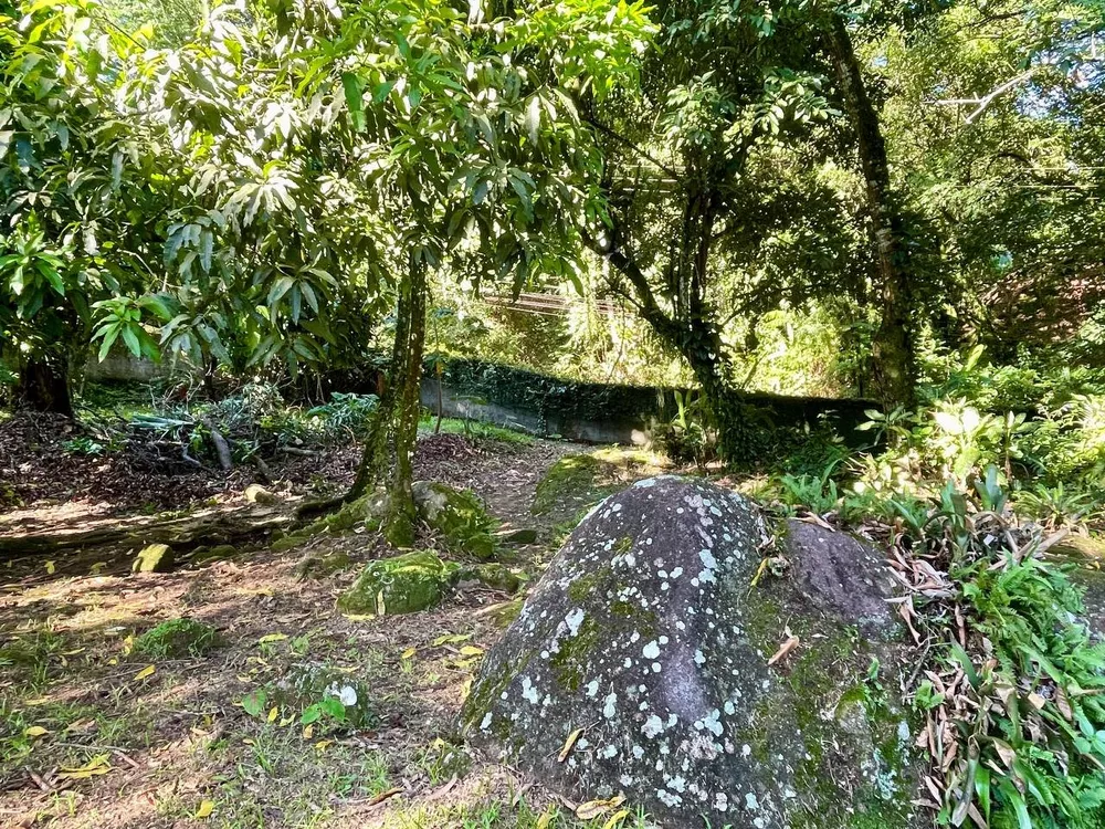 Sítio, 3 quartos, 218 m² - Foto 14