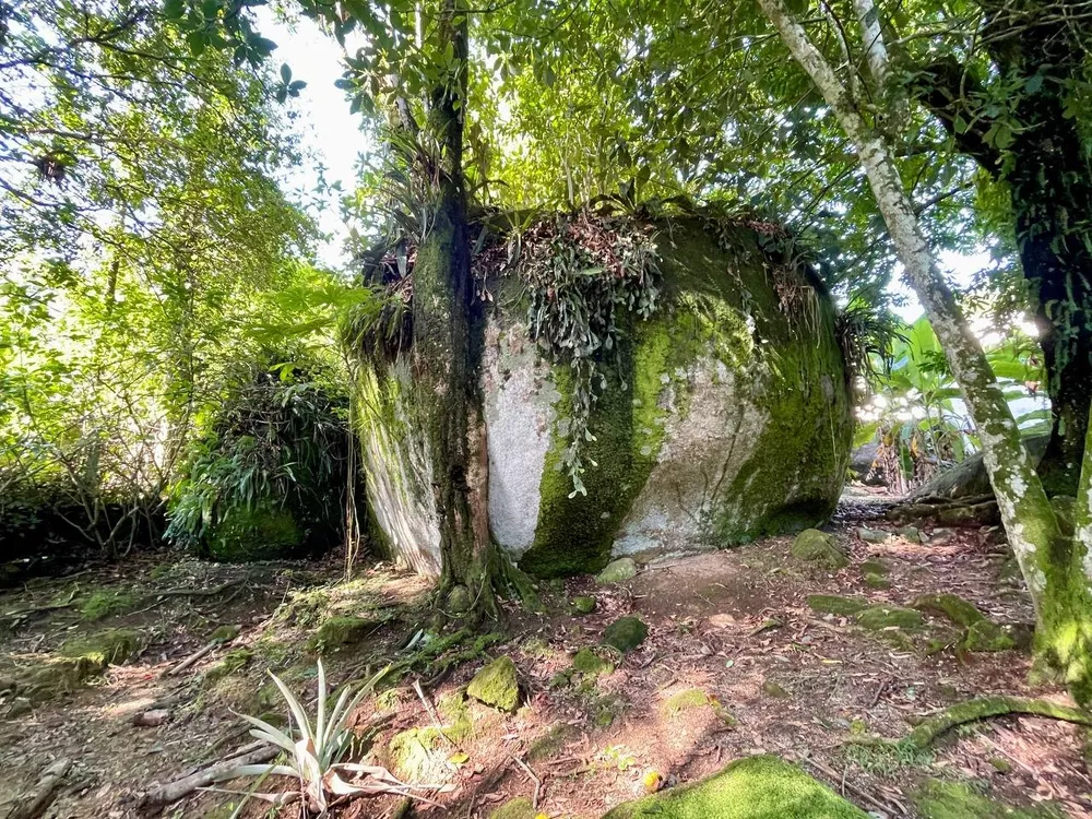 Sítio, 3 quartos, 218 m² - Foto 24