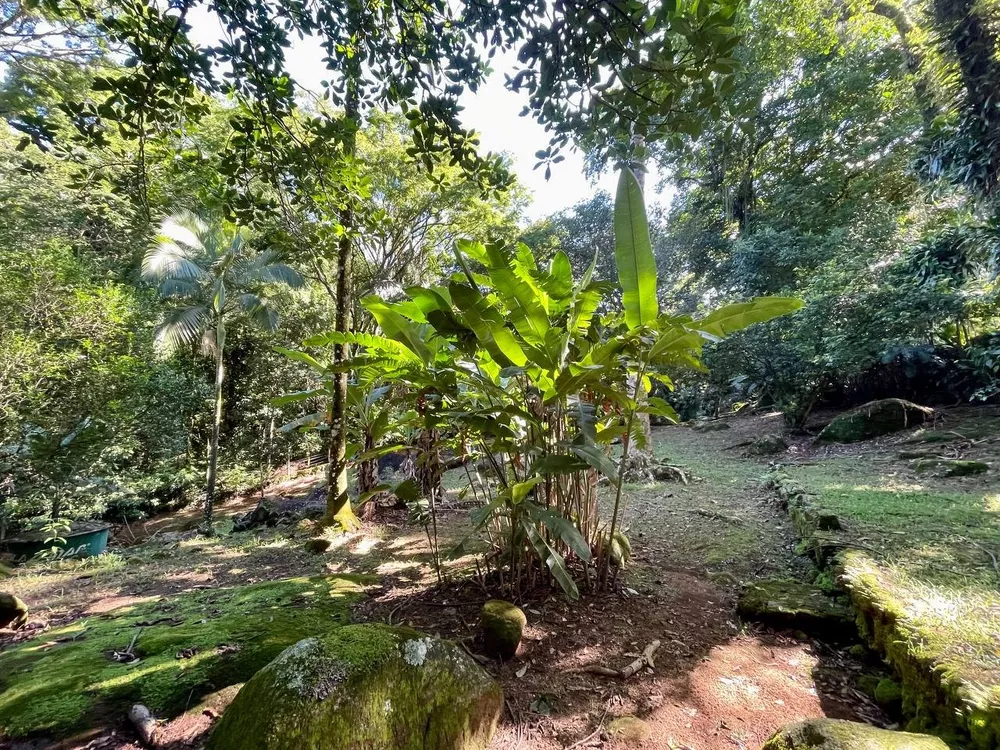 Sítio, 3 quartos, 218 m² - Foto 26