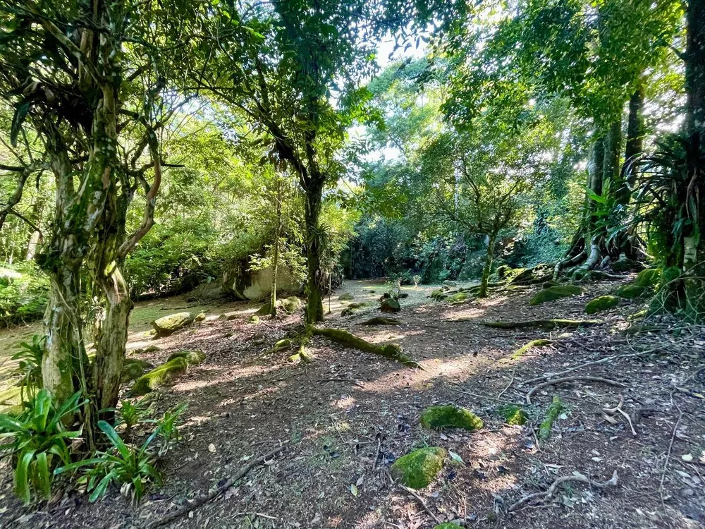 Sítio, 3 quartos, 218 m² - Foto 23