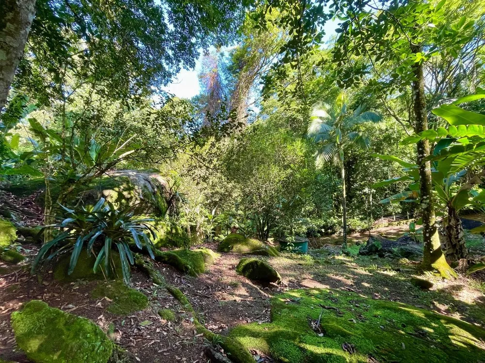 Sítio, 3 quartos, 218 m² - Foto 25