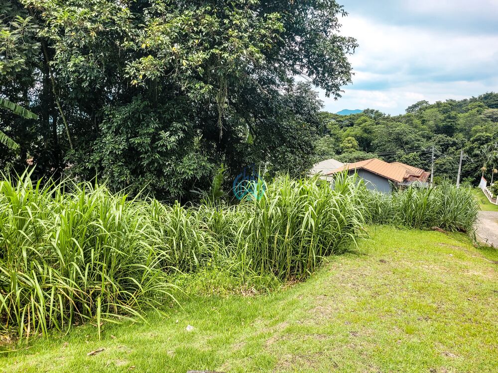 Terreno, 390 m² - Foto 4