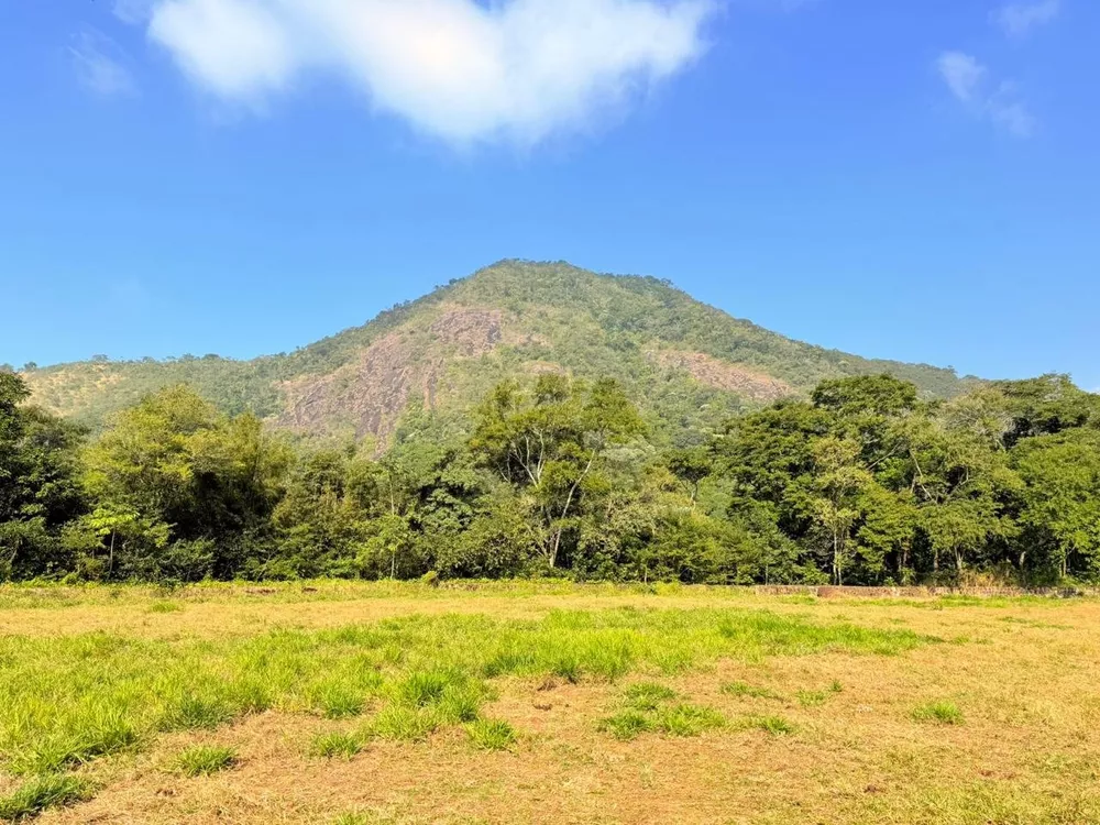 Terreno, 500 m² - Foto 4