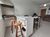 Apartamento, 3 quartos, 60 m² - Foto 1