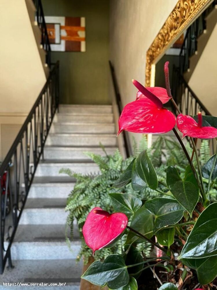Apartamento, 3 quartos, 101 m² - Foto 14
