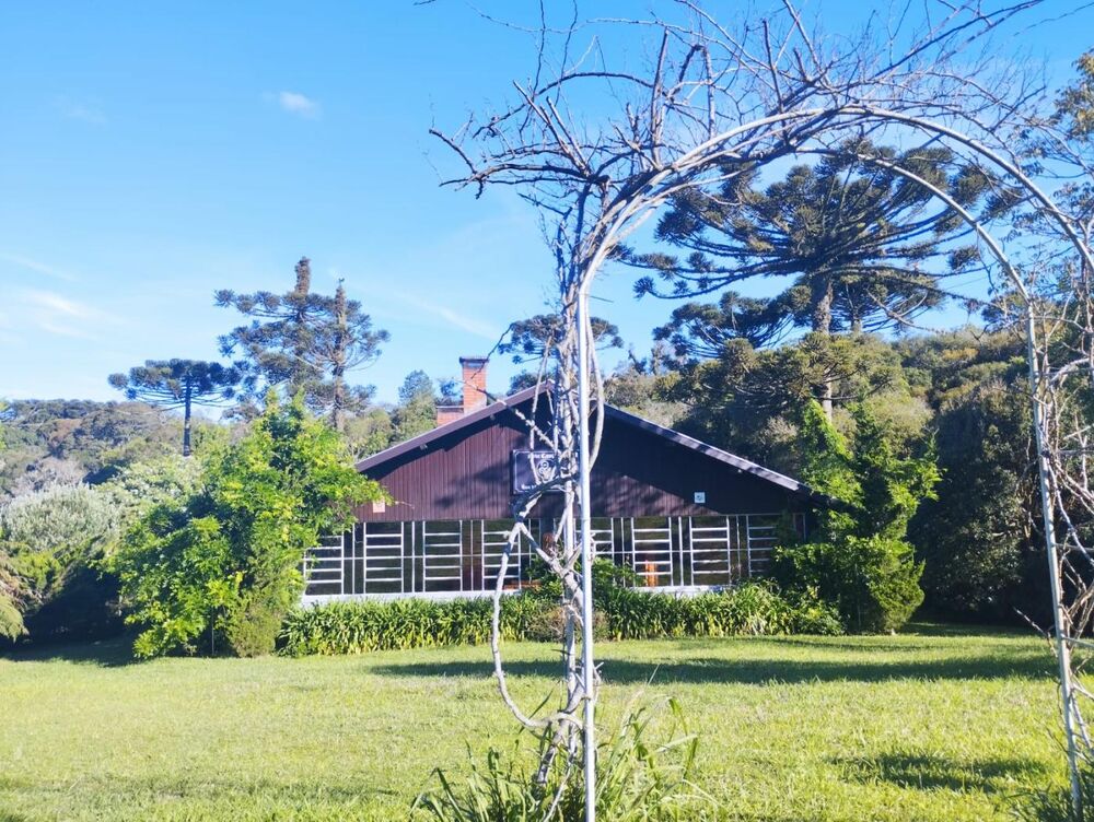 Terreno à venda, 4000m² - Foto 4