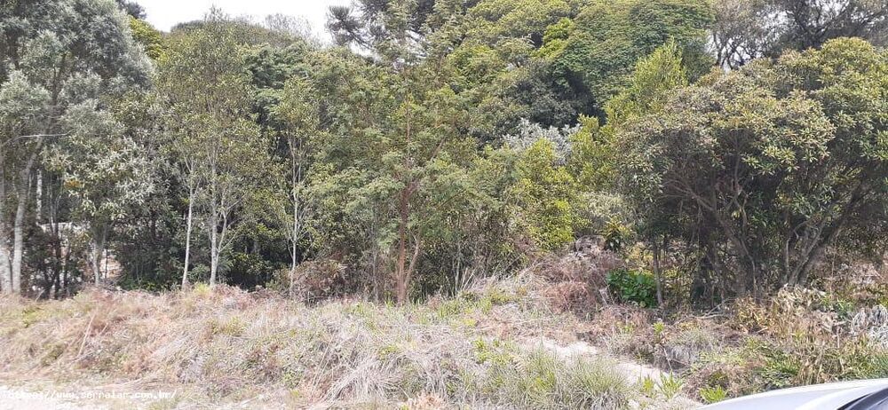 Terreno à venda, 591m² - Foto 4