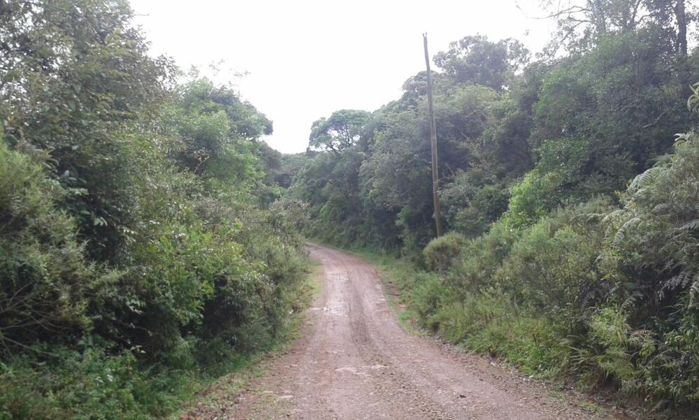Terreno, 1600 m² - Foto 4