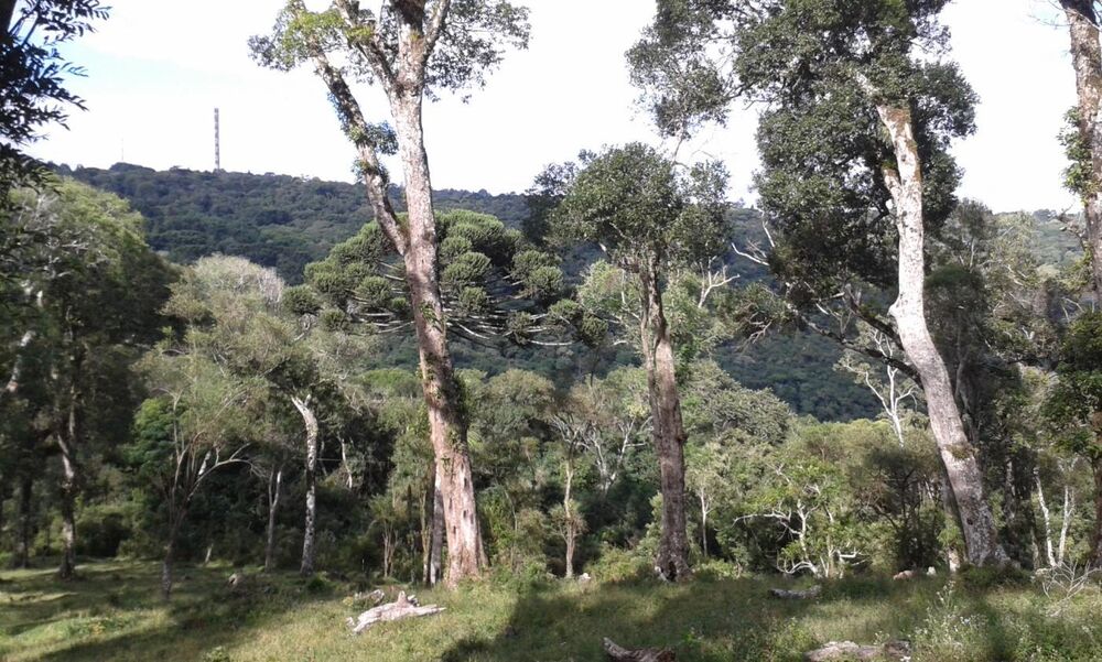 Terreno, 1600 m² - Foto 3