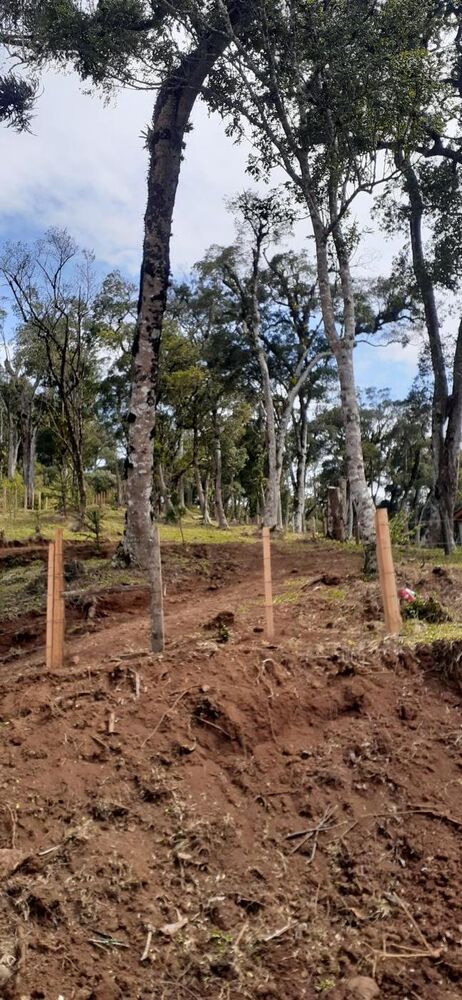 Terreno, 1600 m² - Foto 2