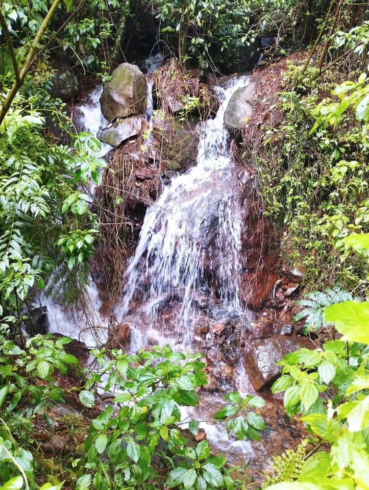 Sítio, 35 m² - Foto 4