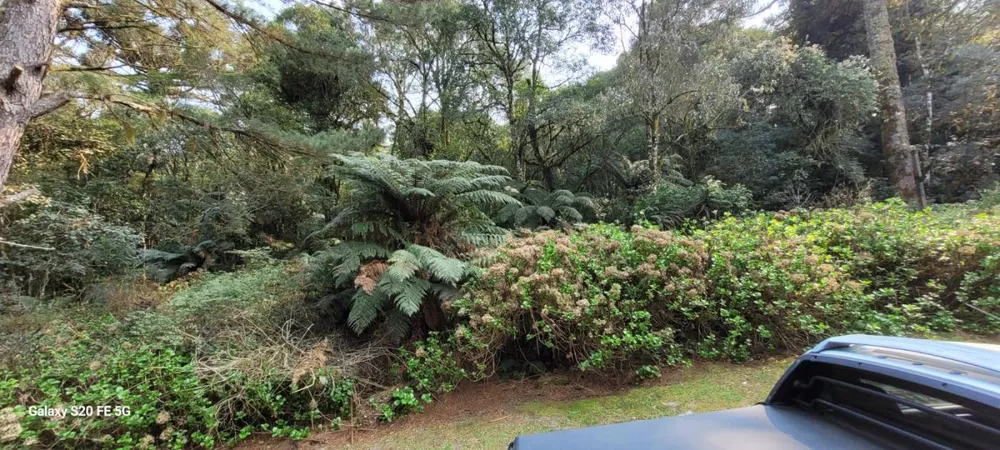 Terreno à venda, 1200m² - Foto 2