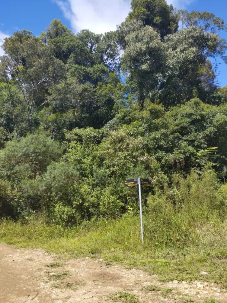 Terreno, 765 m² - Foto 4