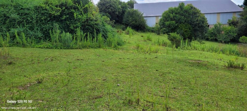 Terreno, 5000 m² - Foto 2