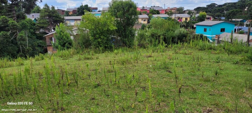 Terreno, 5000 m² - Foto 4