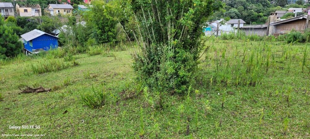 Terreno, 5000 m² - Foto 1