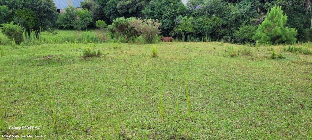 Terreno, 5000 m² - Foto 3